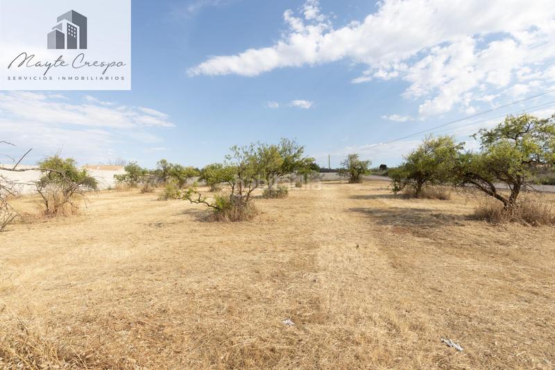 Foto 4f90ca27-011a-4b63-80c1-d31cad66db6e. Finca rústica terreno rústico en los tablazos en Moraleda de Zafayona