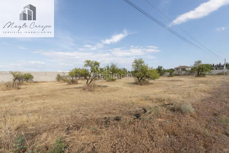 Foto 9452df36-b1e4-451b-953d-8991a45a2394. Finca rústica terreno rústico en los tablazos en Moraleda de Zafayona