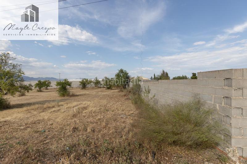 Foto e2a3fab5-1469-43b6-94ac-b59bf9936e1c. Finca rústica terreno rústico en los tablazos en Moraleda de Zafayona