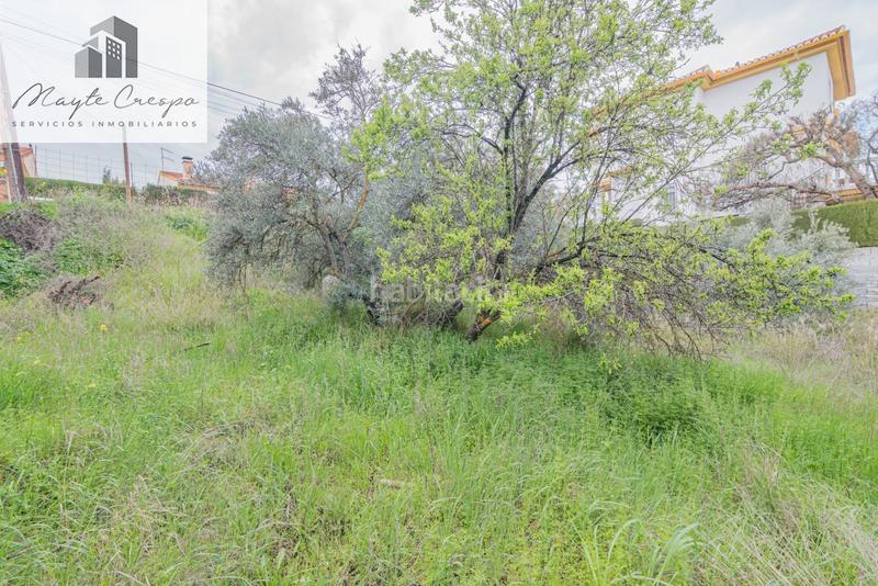 Foto bb8419fa-1c9a-4bdc-8e34-01da34a22f6b. Terreno residencial solar en cullar vega en Cúllar Vega