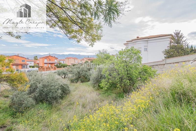 Foto c70512d9-c204-44fd-a5d4-b7a587ecad6d. Terreno residencial solar en cullar vega en Cúllar Vega