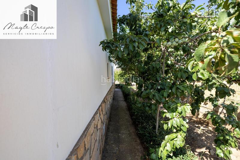 Foto 1988210c-8ef9-4df8-8eb2-95c19bbef983. Finca rústica parcela rústica de 3.700 m con casa, piscina y árboles frutales en alcudia de guadix en Valle del Zalabí