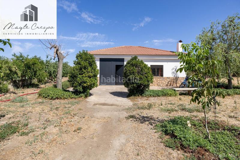 Foto 274f88c5-0473-466a-98b5-397a240a1bfc. Finca rústica parcela rústica de 3.700 m con casa, piscina y árboles frutales en alcudia de guadix en Valle del Zalabí
