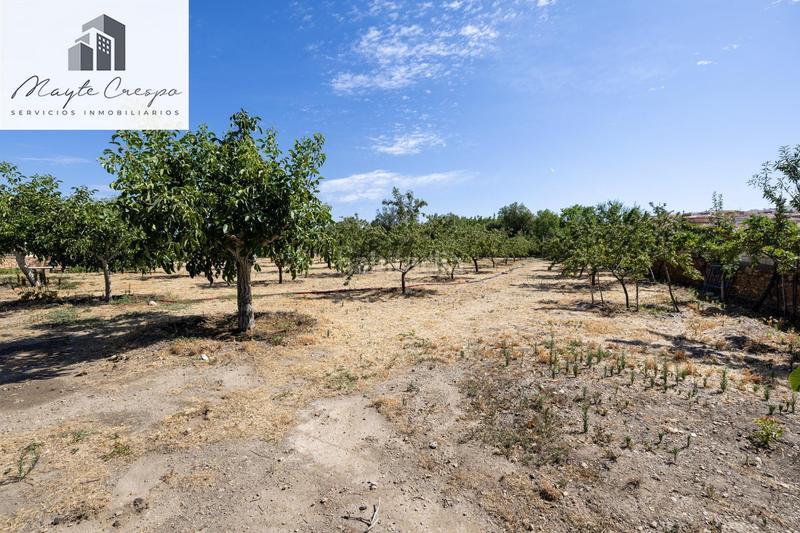 Foto 2b881475-5530-4ec3-a88b-07fee362a4e4. Finca rústica parcela rústica de 3.700 m con casa, piscina y árboles frutales en alcudia de guadix en Valle del Zalabí