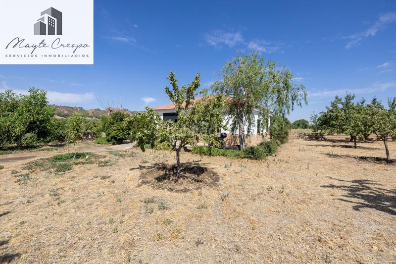 Foto 3acbc4d4-a761-488c-9142-182371072128. Finca rústica parcela rústica de 3.700 m con casa, piscina y árboles frutales en alcudia de guadix en Valle del Zalabí