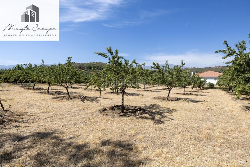 Foto 3aece7c5-93ca-42bf-ab22-d9026b3974fe. Finca rústica parcela rústica de 3.700 m con casa, piscina y árboles frutales en alcudia de guadix en Valle del Zalabí