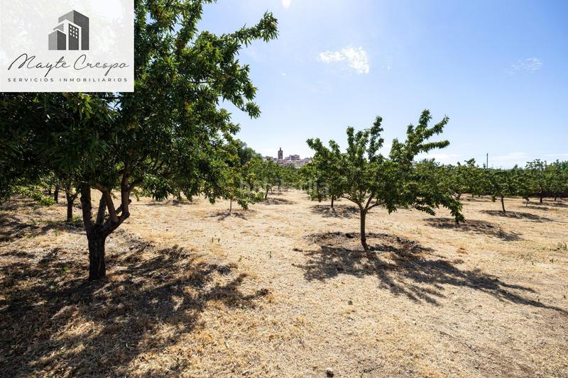 Foto 47f26454-62e4-4c33-98dc-a937f77493ba. Finca rústica parcela rústica de 3.700 m con casa, piscina y árboles frutales en alcudia de guadix en Valle del Zalabí