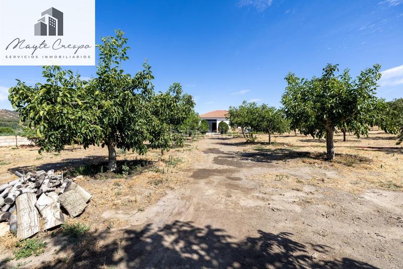 Foto 75063169-1539-4910-9f71-03cbe7e6f23c. Finca rústica parcela rústica de 3.700 m con casa, piscina y árboles frutales en alcudia de guadix en Valle del Zalabí