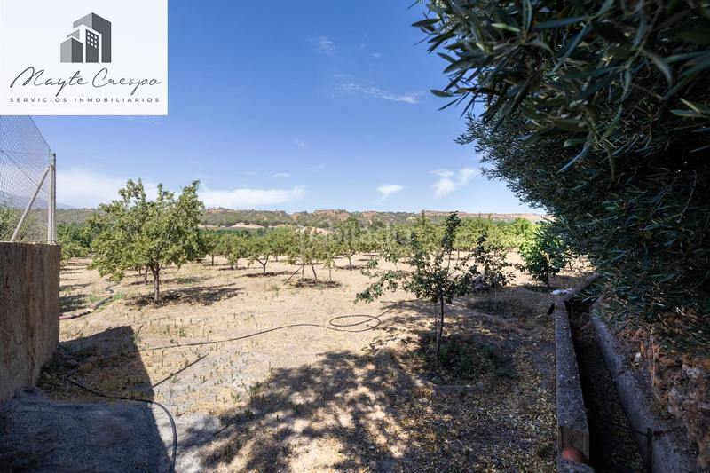 Foto 76cbcb93-a02e-45a2-9e38-988443fd9924. Finca rústica parcela rústica de 3.700 m con casa, piscina y árboles frutales en alcudia de guadix en Valle del Zalabí