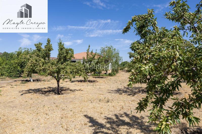 Foto a5473030-b02d-4b10-8ce5-3bbf2d3985c2. Finca rústica parcela rústica de 3.700 m con casa, piscina y árboles frutales en alcudia de guadix en Valle del Zalabí