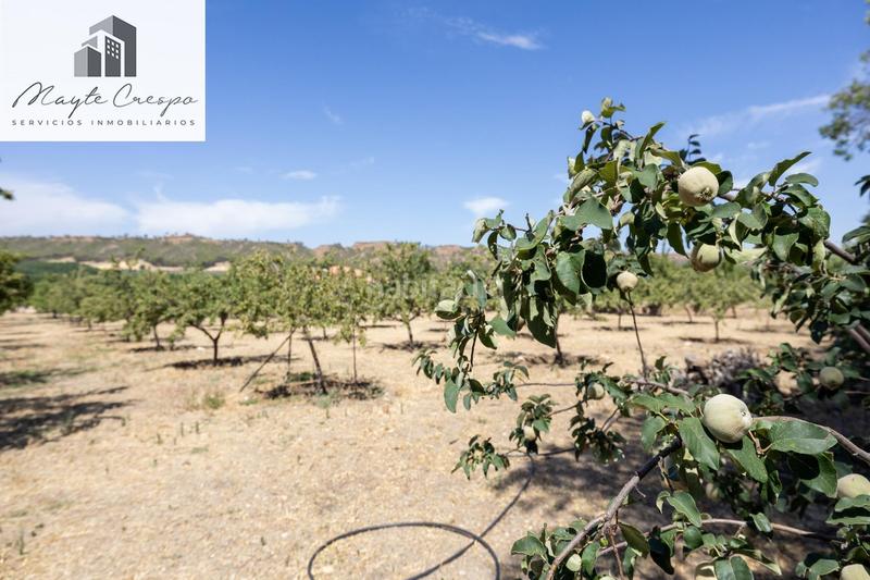 Foto abb6fbd6-07be-4792-89e4-2509952ceaf7. Finca rústica parcela rústica de 3.700 m con casa, piscina y árboles frutales en alcudia de guadix en Valle del Zalabí