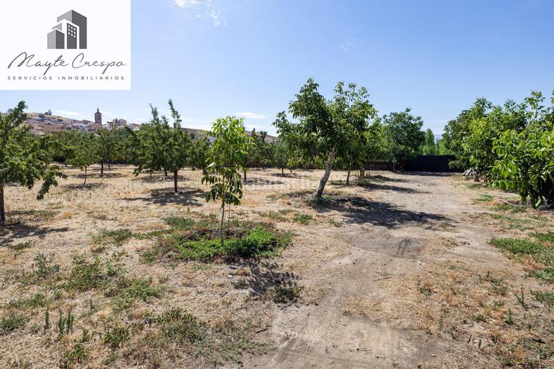 Foto ba881e15-5543-48b9-b805-2aaa95c07bdd. Finca rústica parcela rústica de 3.700 m con casa, piscina y árboles frutales en alcudia de guadix en Valle del Zalabí