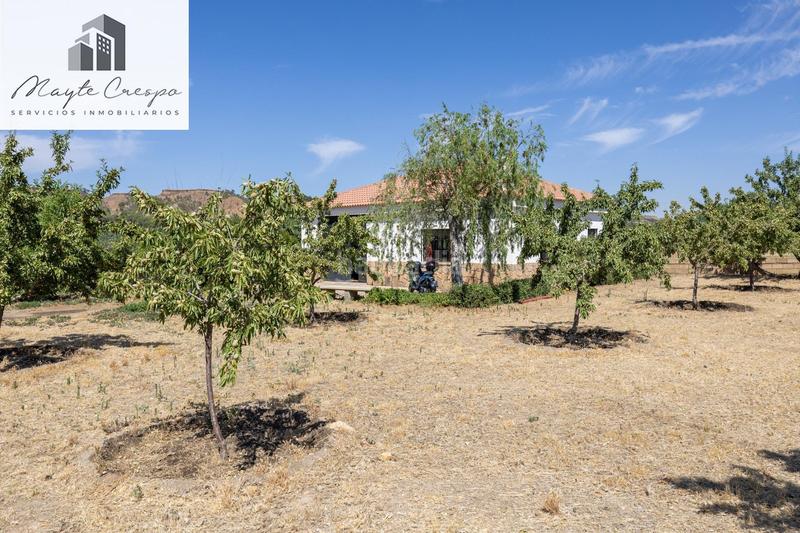 Foto f4cb92b5-d255-4b84-bf38-02f6b738e38a. Finca rústica parcela rústica de 3.700 m con casa, piscina y árboles frutales en alcudia de guadix en Valle del Zalabí