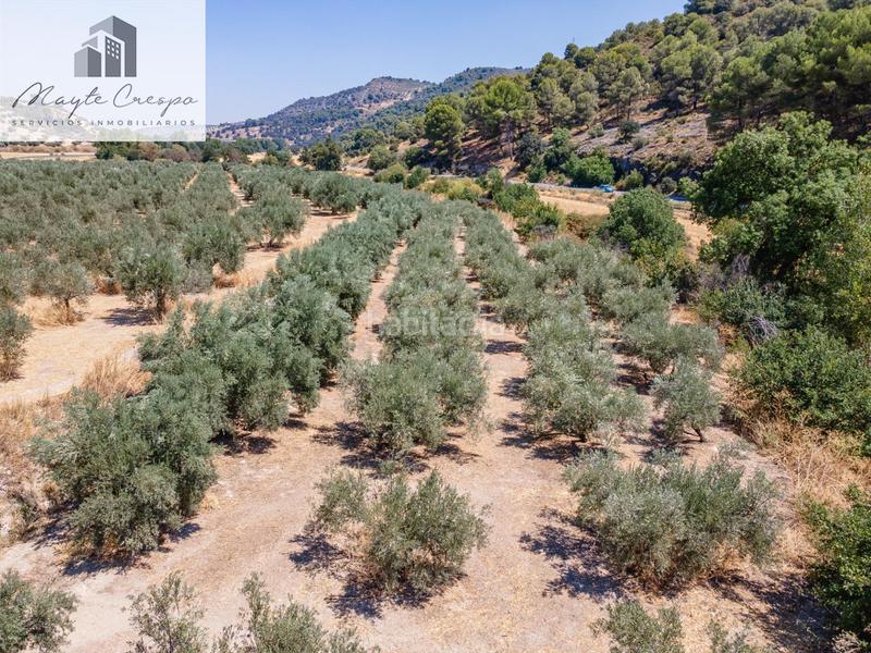 Foto 2622e2a7-2899-4603-bd7a-12210e7e5c9f. Finca rústica gran oportunidad !!!! olivar en venta..... en Deifontes