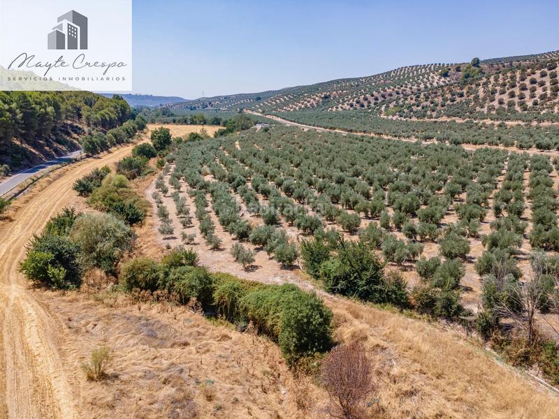 Foto 3f0bb3d2-aab3-47fa-a45d-4aacd9cc11b9. Finca rústica gran oportunidad !!!! olivar en venta..... en Deifontes