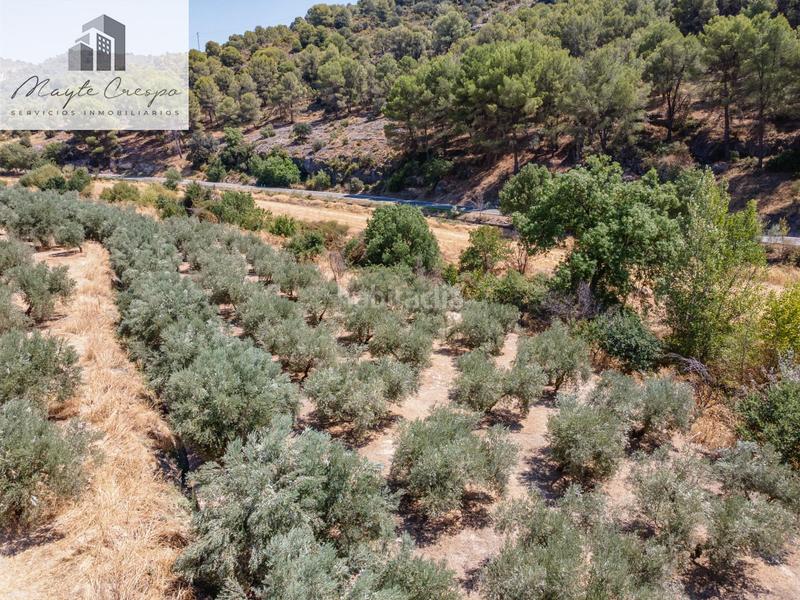 Foto 63a9008a-ac2d-4d06-9540-aad81339f8c9. Finca rústica gran oportunidad !!!! olivar en venta..... en Deifontes