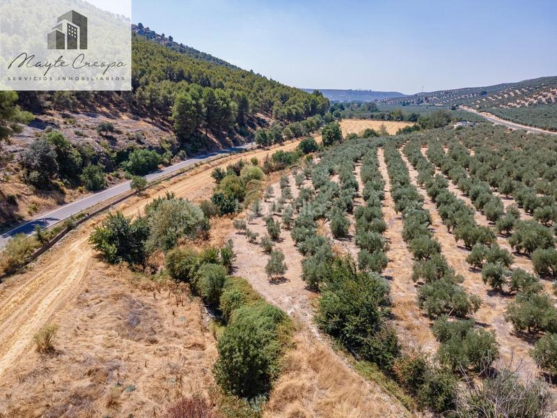 Foto 77b30c89-6f6c-4989-b33c-331c98bfe404. Finca rústica gran oportunidad !!!! olivar en venta..... en Deifontes