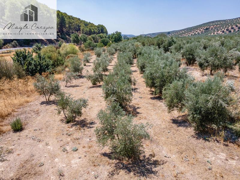 Foto 9bb305fc-1eda-40ac-a221-cdd8fec0eb6f. Finca rústica gran oportunidad !!!! olivar en venta..... en Deifontes
