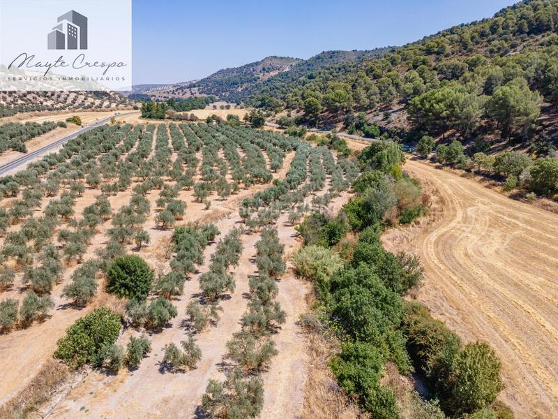 Foto a10da223-5eaa-4c73-8971-8b5646fce714. Finca rústica gran oportunidad !!!! olivar en venta..... en Deifontes
