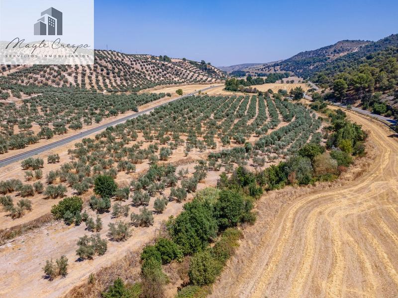 Foto c4d7135c-c351-4691-99d7-31719fd2e491. Finca rústica gran oportunidad !!!! olivar en venta..... en Deifontes
