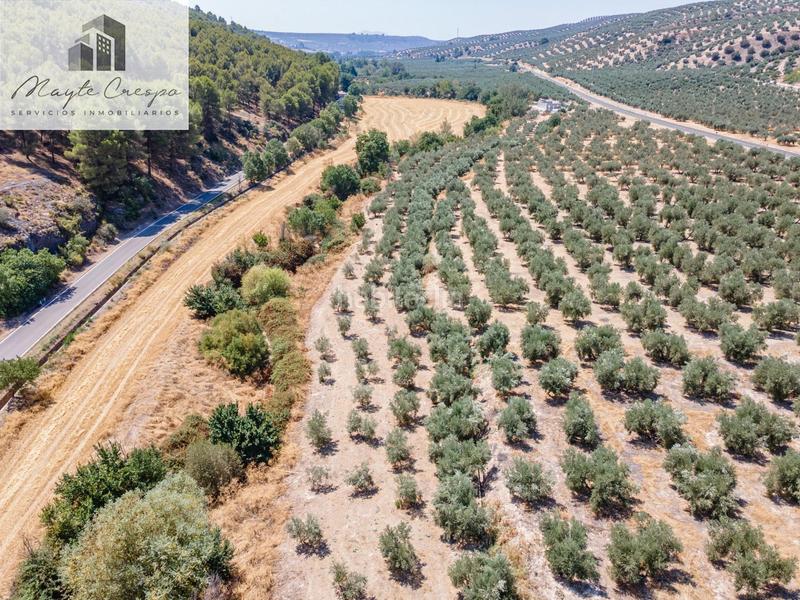 Foto fc2509c5-d5dd-42fb-9537-a099d1145270. Finca rústica gran oportunidad !!!! olivar en venta..... en Deifontes