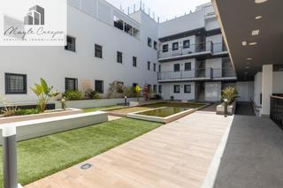 tic en Parque de San Roque. Pisazo en churriana