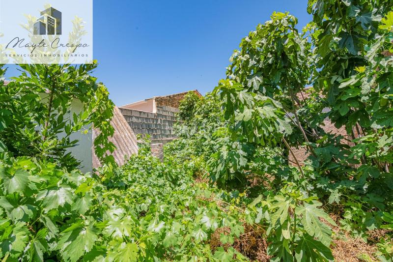 Foto ad7cfdf2-5c7b-4a07-8bd0-14a8fa3eb61e. Casa adossada a lopez de los rios 19 a Cijuela