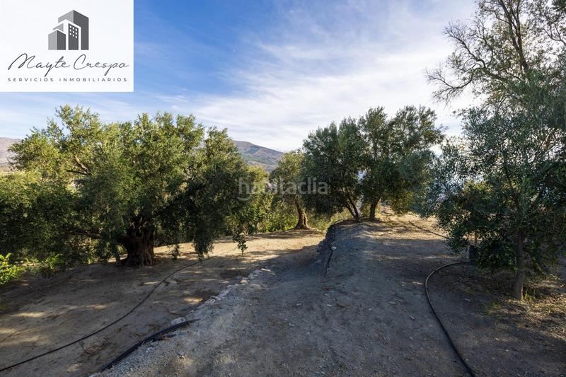 Foto 044d8c62-1b3c-45ee-800d-f7973c189c2f. Rural plot in Lecrín