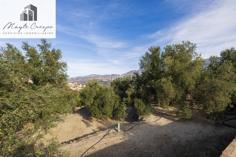 Foto 0861d9bd-0ef5-40b6-a14c-87c021786da2. Rural plot in Lecrín
