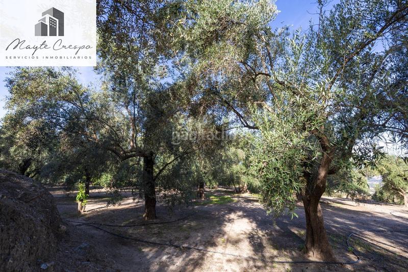 Foto 0da8aff0-249a-4e03-b7f2-a4a45e121105. Rural plot in Lecrín