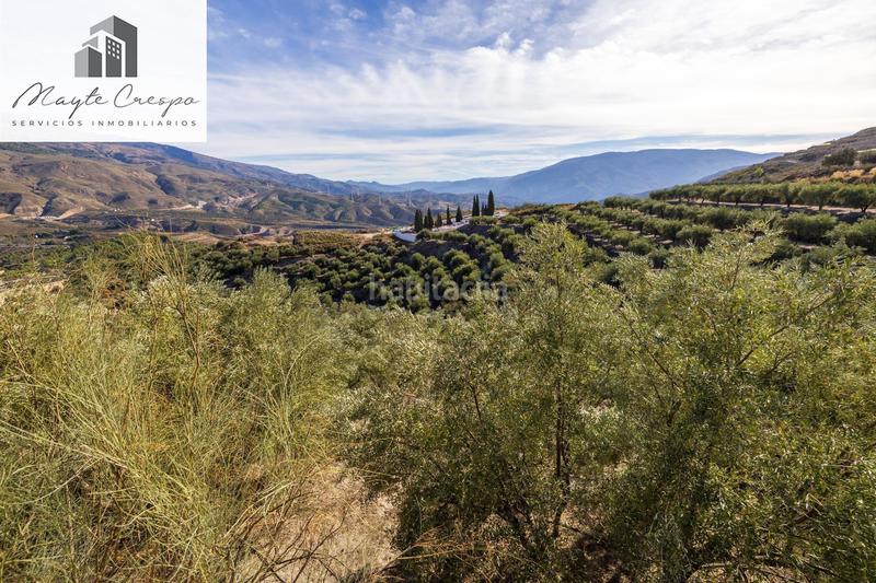Foto 0fc0f822-4c1f-420c-bb03-d833c0e94821. Rural plot in Lecrín