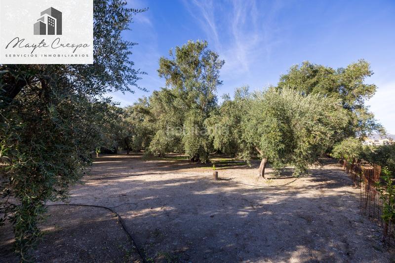 Foto 101c2c56-3bab-42d1-b2ed-ad894902ec27. Rural plot in Lecrín
