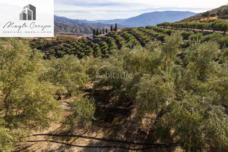 Foto 126712a3-3007-4b9b-81ff-dc4250ccab36. Rural plot in Lecrín