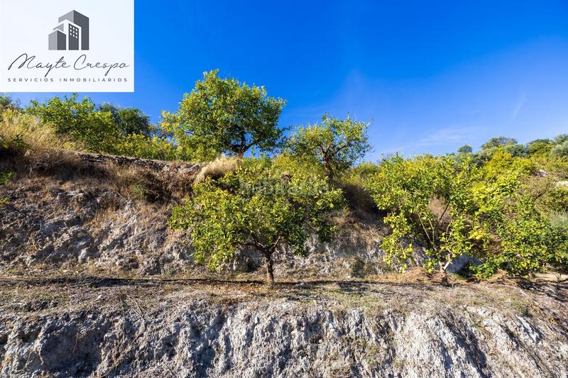 Foto 1cb0cb34-7ece-4d52-903f-2e77d1cf09ce. Rural plot in Lecrín