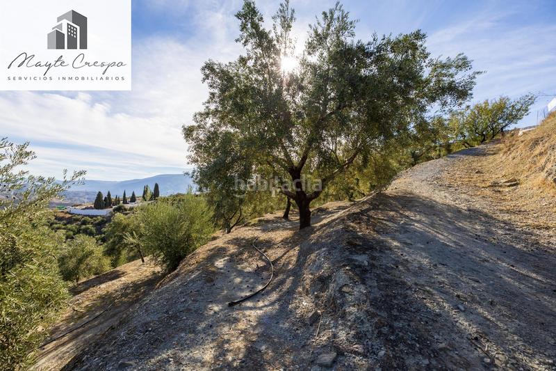 Foto 271413e0-76af-49de-8ceb-3c8120546cda. Rural plot in Lecrín