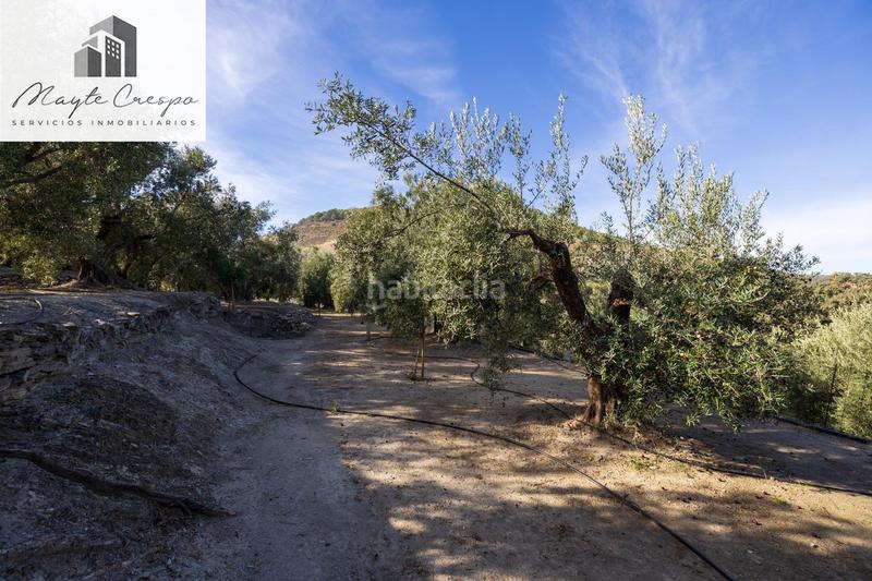 Foto 2d0e0f14-d3ef-4317-9674-792c44196200. Rural plot in Lecrín