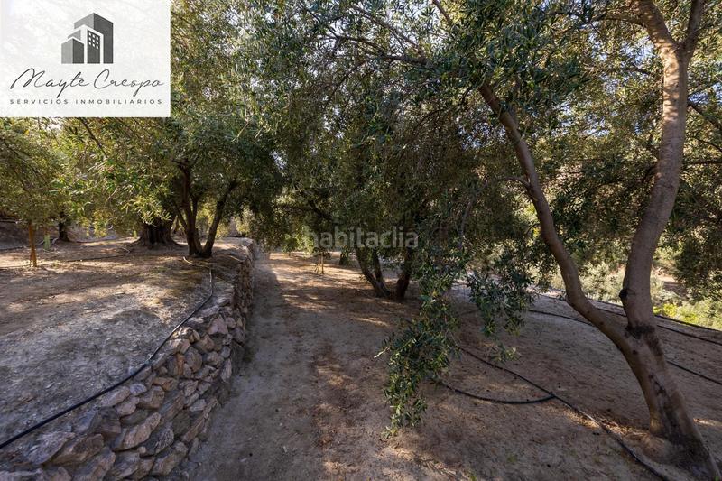 Foto 55e194dc-2963-4435-b37c-8d61dfcf2a31. Rural plot in Lecrín