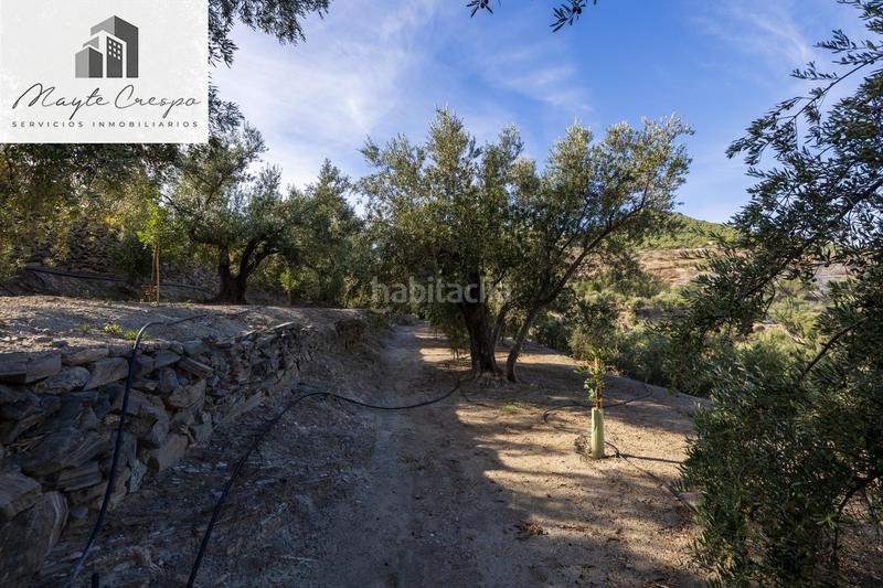 Foto 651f64bb-1279-4fd5-be05-656ea1d907a7. Rural plot in Lecrín
