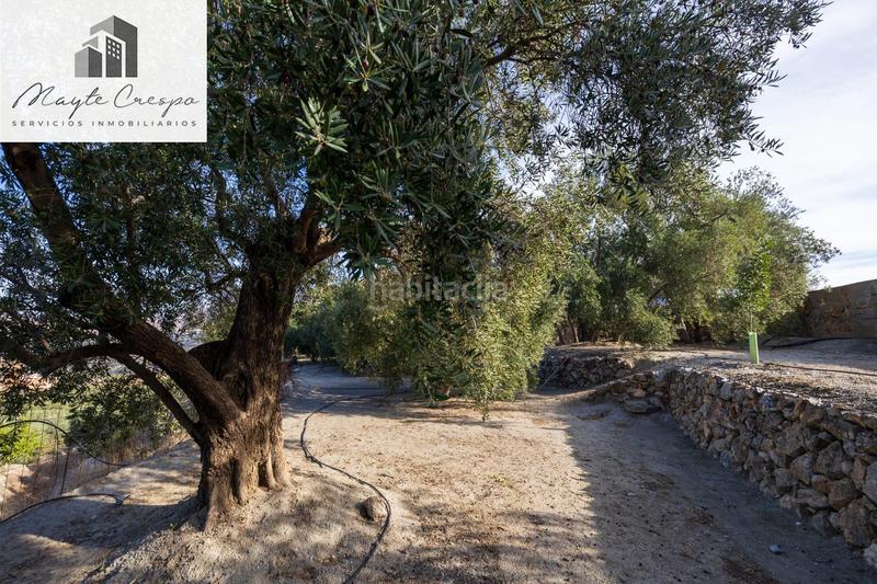 Foto 68aa72c3-888e-45c4-b29d-972e01d25a94. Rural plot in Lecrín