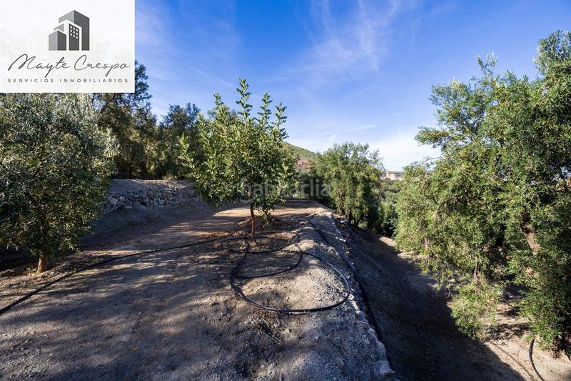 Foto 766c9969-30f7-425b-8a03-c8b7f7bd87b9. Rural plot in Lecrín