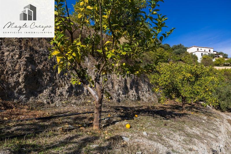 Foto 7cdae3ba-172b-4d26-a24b-8b2a3f3179a6. Rural plot in Lecrín