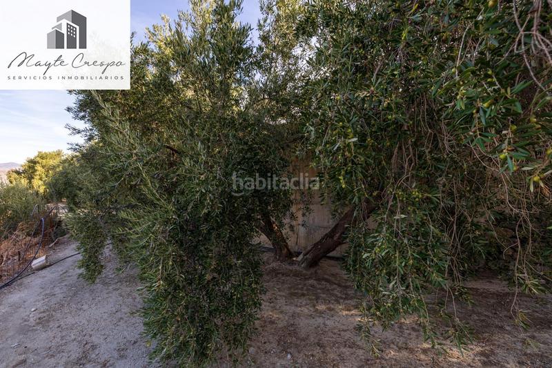 Foto 813360a3-eca6-4261-bf97-668c8df4bb39. Rural plot in Lecrín