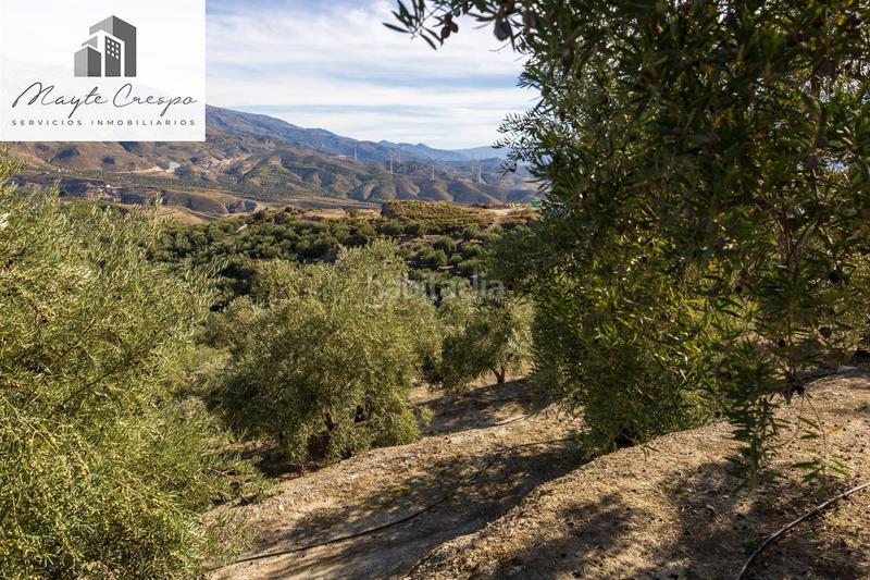 Foto 8ca0bbc1-8a95-4bc2-b0f2-faa77ce6c1bd. Rural plot in Lecrín