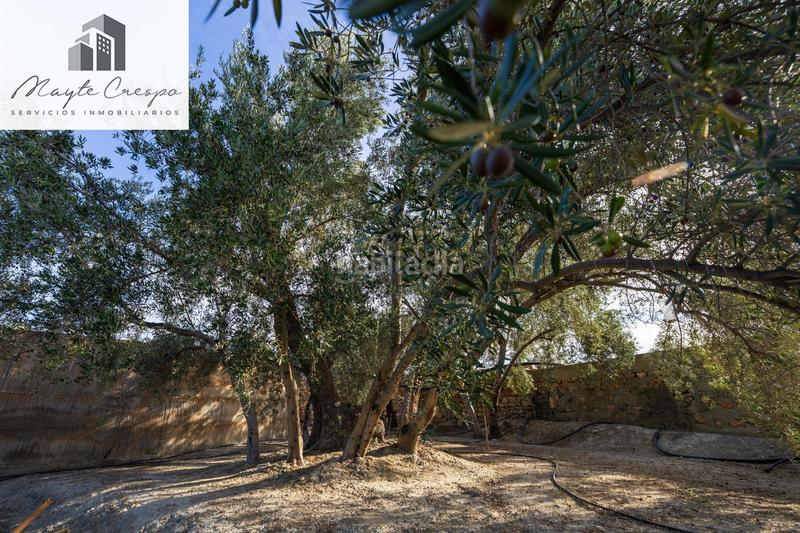 Foto 9bc3d7e4-0596-4a2b-82fb-370ebcc15d12. Rural plot in Lecrín