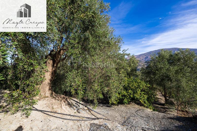 Foto a6455138-2447-45ba-ad9c-02324346987b. Rural plot in Lecrín