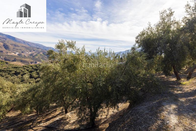 Foto a686eb20-071a-4273-91a9-4e5692edb613. Rural plot in Lecrín