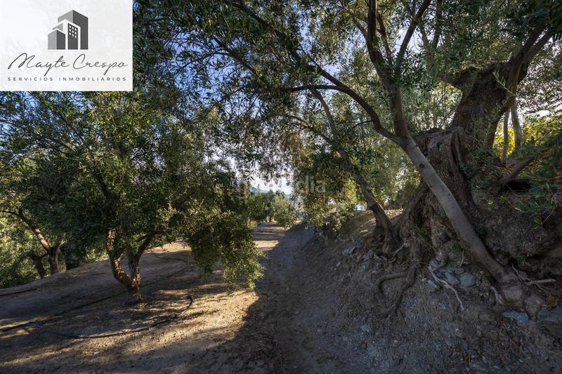 Foto b371dee0-f19b-47cd-93a0-95158054fb7e. Rural plot in Lecrín