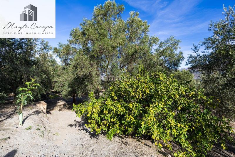 Foto bd43e410-2522-4d9f-bd50-d7c31d3ca0c1. Rural plot in Lecrín