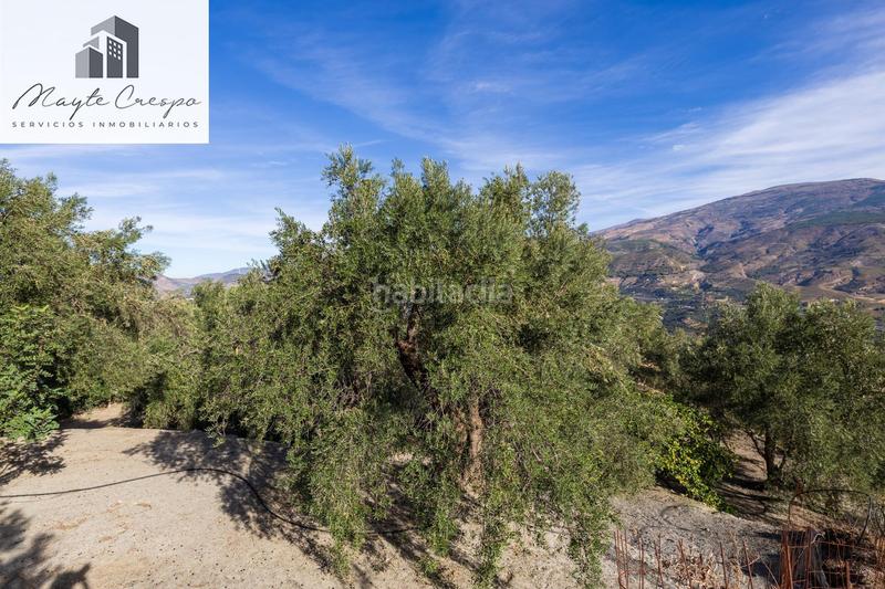 Foto c1916255-96ec-43ec-b7ee-c55966909fda. Rural plot in Lecrín