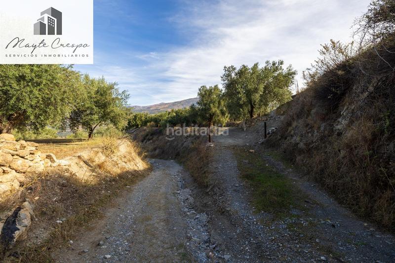 Foto cfeae97e-9f1b-46a3-9a7f-d3c1874f7093. Rural plot in Lecrín